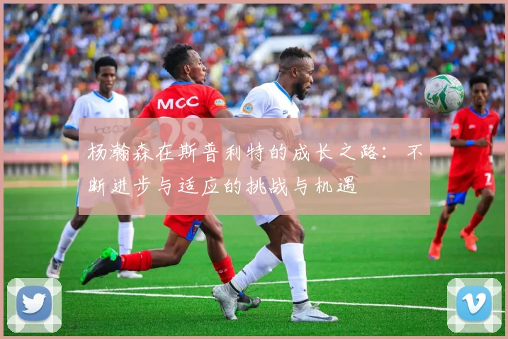杨瀚森在斯普利特的成长之路：不断进步与适应的挑战与机遇